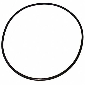 DAYTON Ss Pump O-Ring, 23CC37