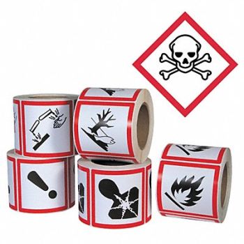 GHS SAFETY Pictogram Label Skull PK500, 23J586