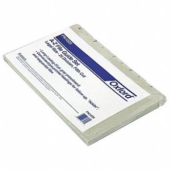 PENDAFLEX File Guide Set Preprinted Tabs Gray PK25, 23K594