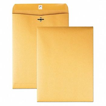 QUALITY PARK Catalog Envelopes 9 H 12 W PK100, 23K905