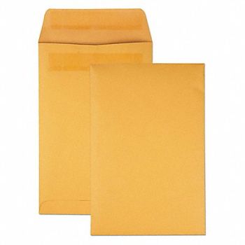 QUALITY PARK Catalog Envelopes 6 H 9 W PK100, 23K909