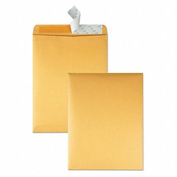 QUALITY PARK Catalog Envelopes 10 H 13 W PK100, 23K921