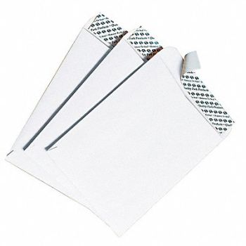 QUALITY PARK Catalog Envelopes 6 H 9 W PK100, 23K927