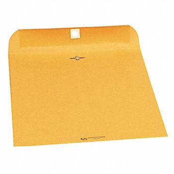 QUALITY PARK Catalog Envelopes 9 H 12 W PK250, 23K959