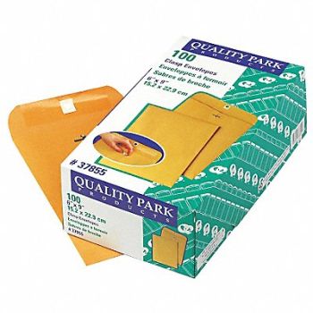 QUALITY PARK Catalog Envelopes 6 H 9 W PK100, 23K971