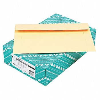 QUALITY PARK Filing Envelopes 10 H 14-3/4 W PK100, 23K974