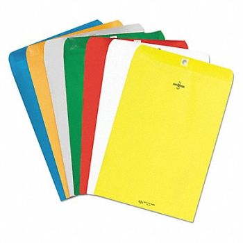 QUALITY PARK Catalog Envelopes 9 H 12 W PK10, 23K985
