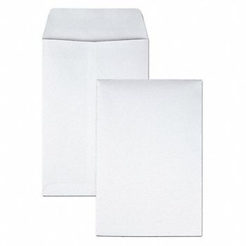 QUALITY PARK Catalog Envlpes 6-1/2 H 9-1/2 W PK100, 23K988