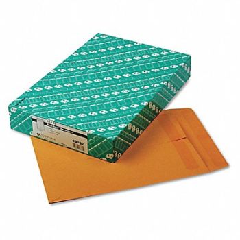 QUALITY PARK Catalog Envelopes 10 H 13 W PK100, 23K993