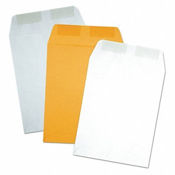 QUALITY PARK Catalog Envelopes 9 H 12 W PK250, 23L010