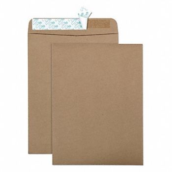 QUALITY PARK Catalog Envelopes 9 H 12 W PK100, 23L027