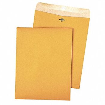 QUALITY PARK Catalog Envelopes 9 H 12 W PK100, 23L037