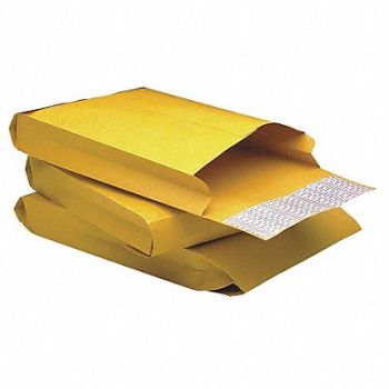 QUALITY PARK Expandable Envelope #10-1/2 PK25, 23L057