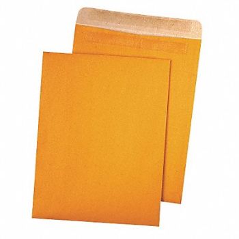 QUALITY PARK Catalog Envelopes 9 H 12 W PK100, 23L075