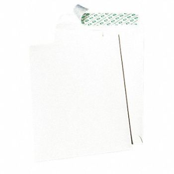 QUALITY PARK No-Tear Envelopes 10 H 13 W PK100, 23L081