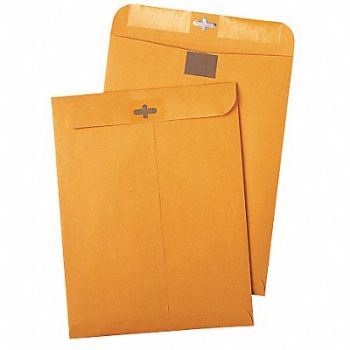 QUALITY PARK Catalog Envelopes 9 H 12 W PK100, 23L091