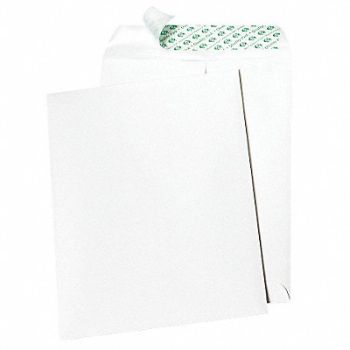 QUALITY PARK No-Tear Envelopes 9 H 12 W PK100, 23L106