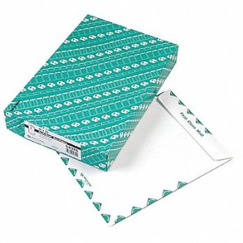 QUALITY PARK Catalog Envelopes 10 H 13 W PK100, 23L136