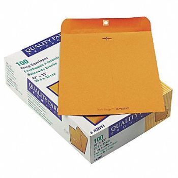 QUALITY PARK Catalog Envelopes 10 H 13 W PK100, 23L147