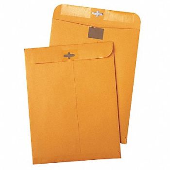QUALITY PARK Catalog Envelopes 10 H 13 W PK100, 23L152