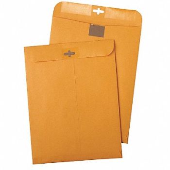 QUALITY PARK Catalog Envelopes 6 H 9 W PK100, 23L158