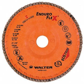 WALTER SURFACE TECHNOLOGIES Fiber Disc 6 in Dia 7/8in Arbor 80 Grit, 249M30