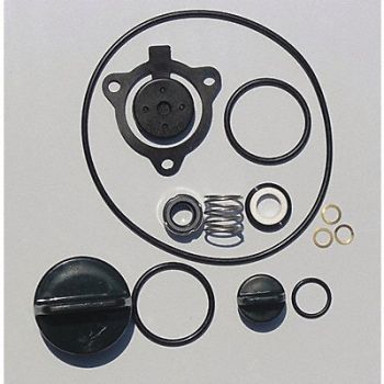 GRAINGER APPROVED Seal Kit Buna For 11G226 and 6CGG9, 24D040
