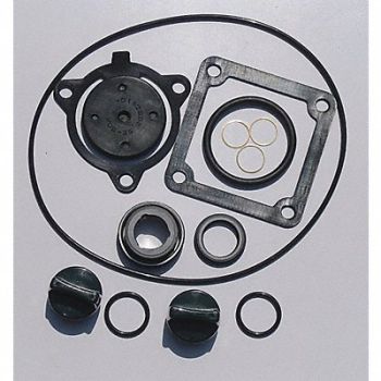 GRAINGER APPROVED Seal Kit Buna For 24D038, 24D048