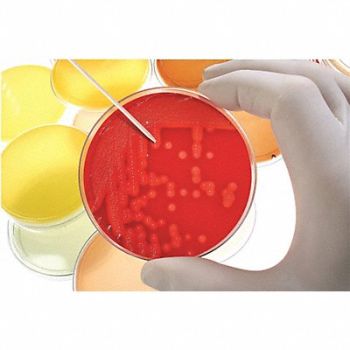 HEATHROW SCIENTIFIC Test Tube Rack Polypropylene Blue, 24EN48