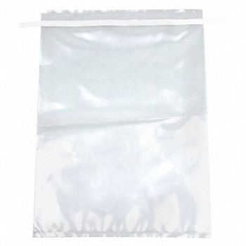 LAB SAFETY SUPPLY Sample Bag 100 oz PK250, 24J936