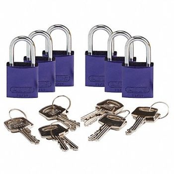 BRADY Lockout Padlock KD Purple 1-7/16 H PK6, 24UY61