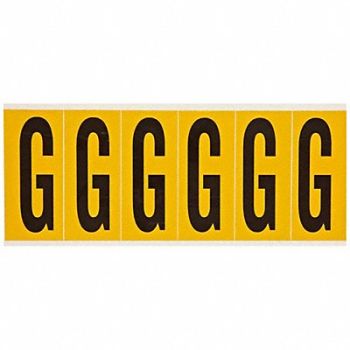 BRADY Letter Label G 1-1/2 in W x 3-1/2 in H, 24UZ14