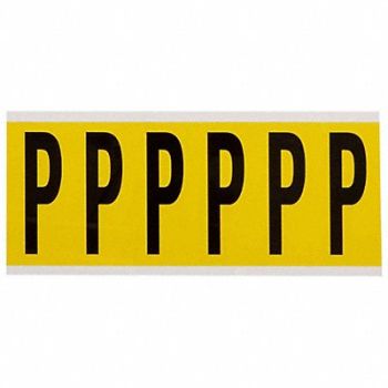 BRADY Letter Label P 1-1/2 in W x 3-1/2 in H, 24UZ61