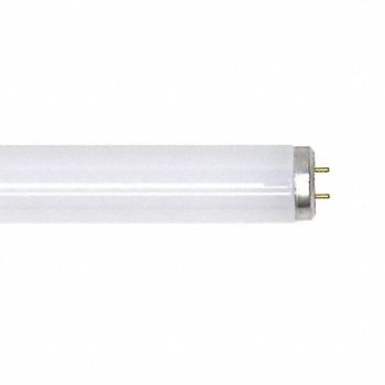 CURRENT Linear FLUOR Bulb T12 23-3/4 L G13 6500K, 6NB15