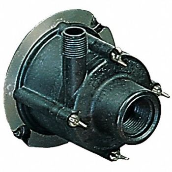 LITTLE GIANT Magnetic Drv Pmp Head GF PPS 1/8hp 1/2in, 24WN27