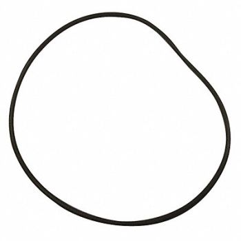 GOULDS WATER TECHNOLOGY O-Ring Casing, 24XT02