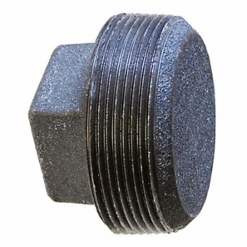 ANVIL Square Head Plug Malleable Iron 1/2 in, 4WJH5