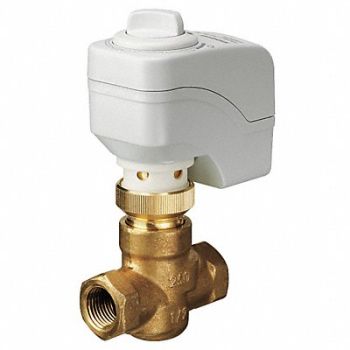 SIEMENS Zone Valve Globe 1/2 in NPT, 25DW43