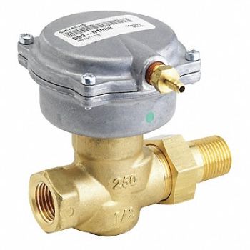 SIEMENS Zone Valve Globe 3/4 In NPT, 25DW46