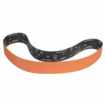 NORTON Sanding Belt 60 in L 2 in W 80G PK10, 26LX02