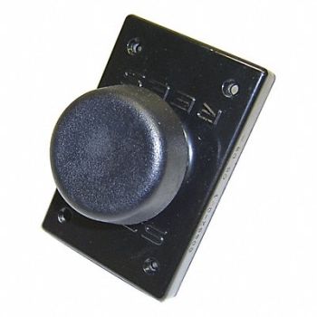 REES Plastic Plunger Black 2-1/4, 284G87