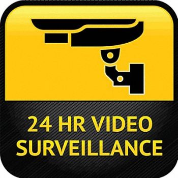 ZING Security Window Decals 4 in x 4 in PK2, 28AV72