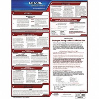 JJ KELLER Labor Law Poster State Labor Law AZ, 29DZ88