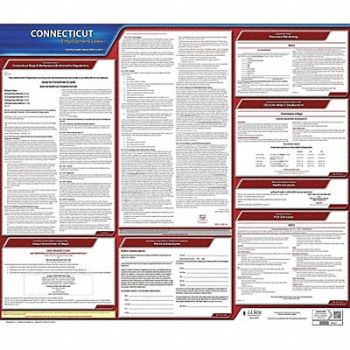JJ KELLER Labor Law Poster State Labor Law CT, 29DZ90