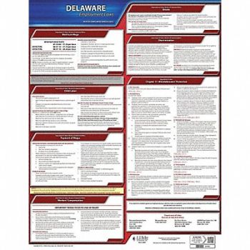 JJ KELLER Labor Law Poster State Labor Law DE, 29DZ93