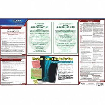 JJ KELLER Labor Law Poster State Labor Law FL, 29DZ94