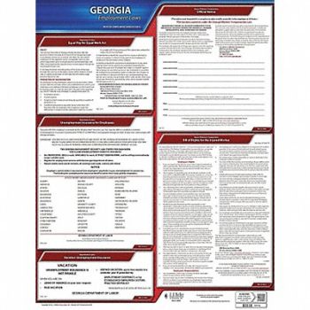 JJ KELLER Labor Law Poster State Labor Law GA, 29DZ95