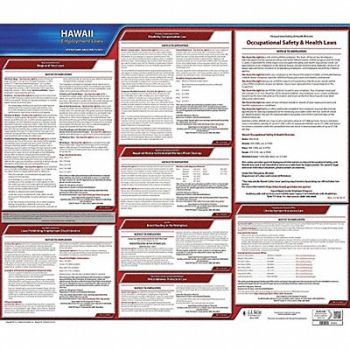 JJ KELLER Labor Law Poster State Labor Law HI, 29DZ96