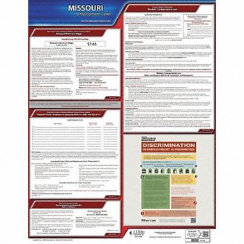 JJ KELLER Labor Law Poster State Labor Law MO, 29EA10