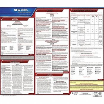 JJ KELLER Labor Law Poster State Labor Law NY, 29EA20
